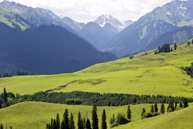 塞外江南在伊犁,伊犁最秀是恰西,典型的新疆山地牧场风光
