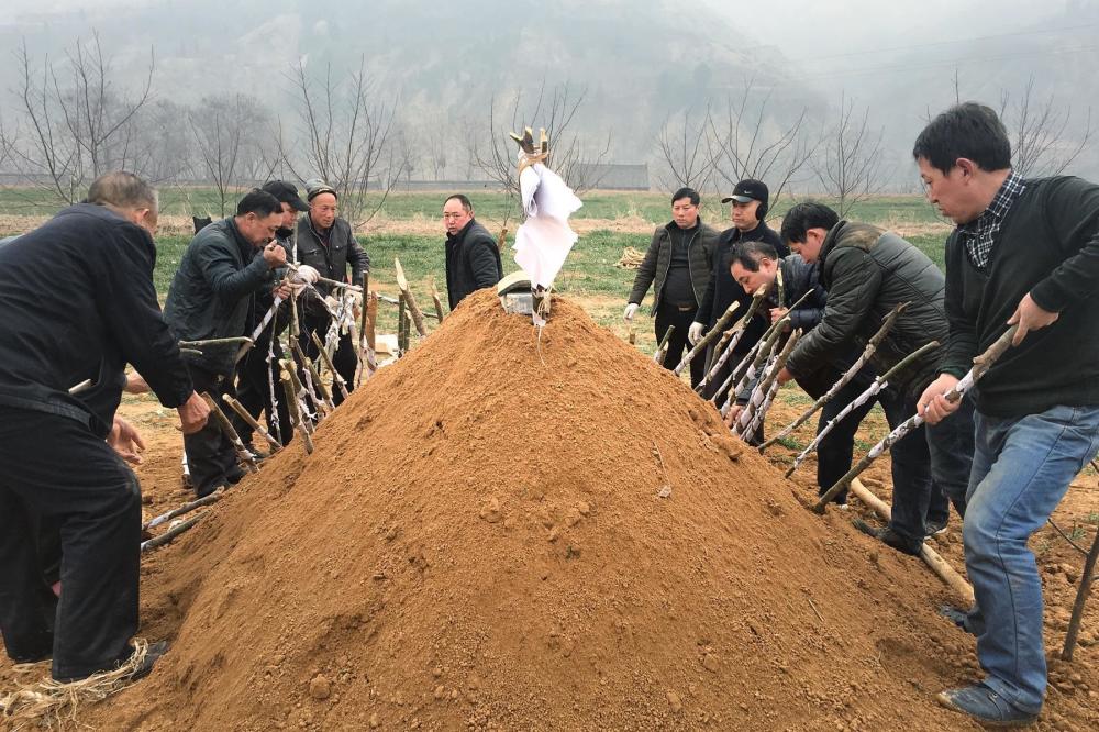 土葬被全面禁止坟头要被清理农村还能建新坟吗