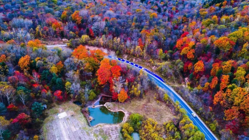 敦化市推出十一黄金周延边人游延边景区优惠政策