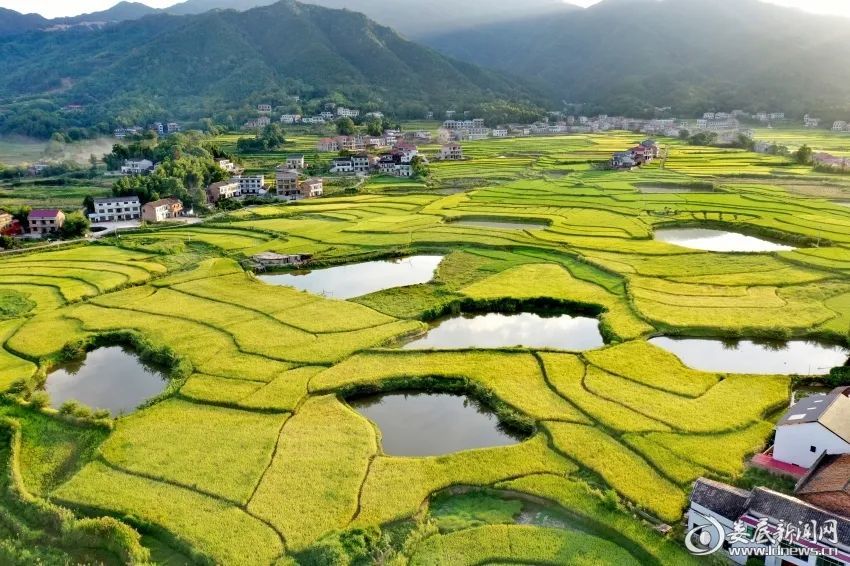 娄星区水洞底镇一片秋色.涟源市荷塘镇一派丰收景象.