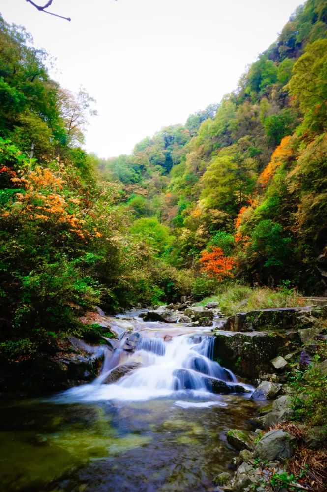 秋分至秋意浓快来汉中这里将五彩斑斓的美景收入眼中