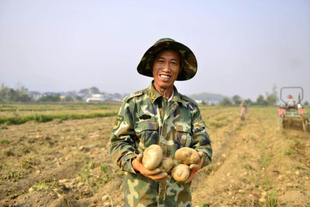 中国农民丰收节丨丰收的时节到了勐海的农民笑了