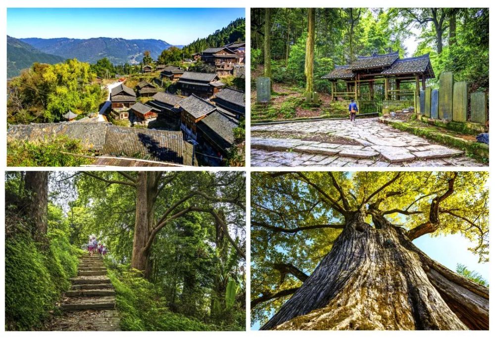 分享相约黔东南州锦屏县文斗苗寨的秋天