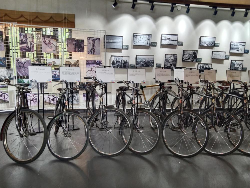 这场在浦东举办的自行车展上，有永久、凤凰还有世界冠军的车