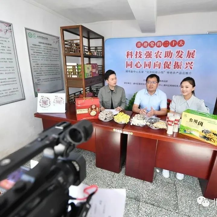 《京味》系列国际传播微纪录片发布，从30个角度看北京