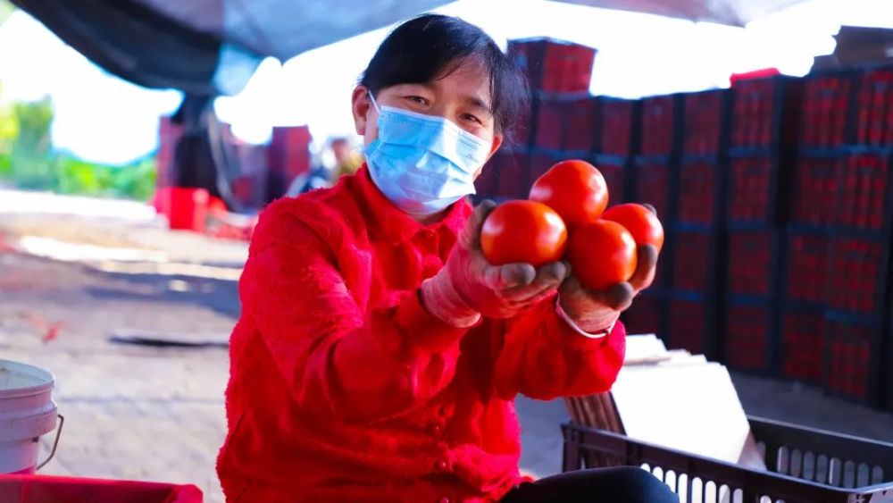 【丰收节】特克斯县委书记杨全国走进田间地头与农民分享丰收喜悦