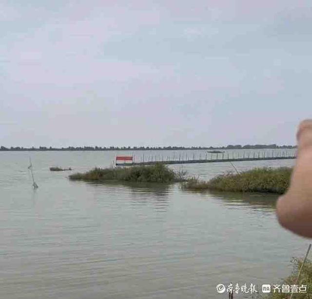 网红称1800万包下高邮湖抽干水抓鱼？当事人：承包的只是一个鱼塘