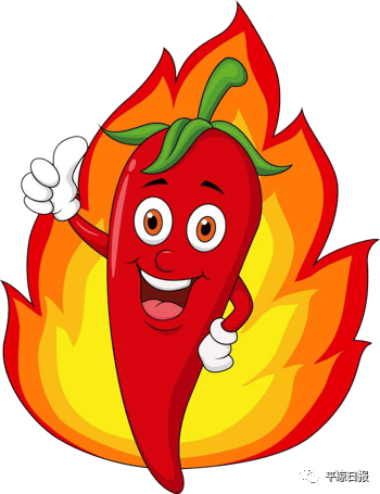 我们这十年丨小辣椒种出"红日子"——灵台县积极培育发展朝天椒产业