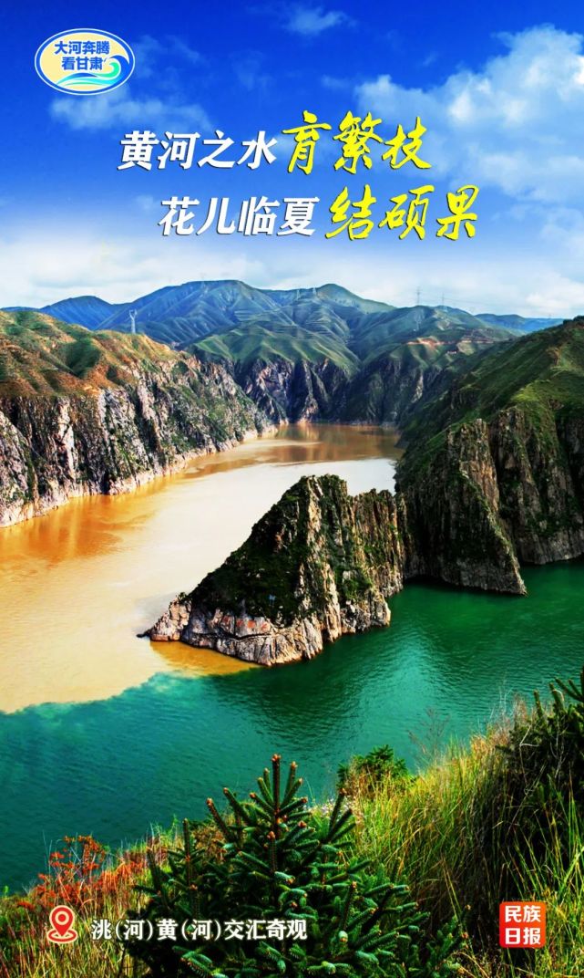 【大河奔腾看甘肃】黄河之水育繁枝 花儿临夏结硕果