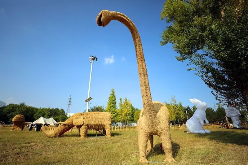 北京农业嘉年华园区有多好玩儿,抢先体验_腾讯新闻