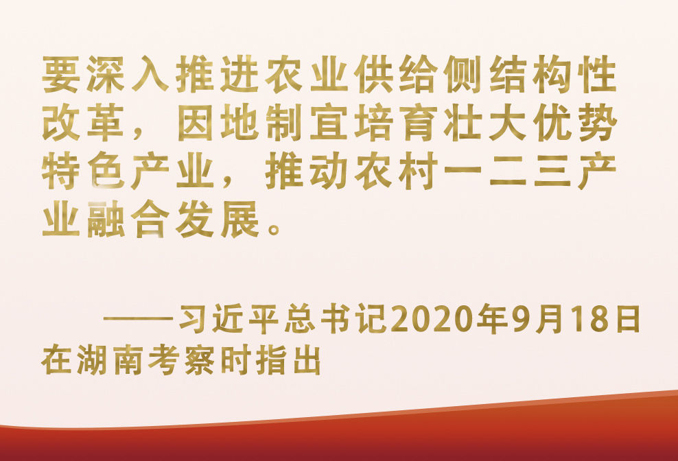 总书记挂念的“关键小事”丨让“小作物”成为助力脱贫致富的“大产业”和秋叶一起学怎么用