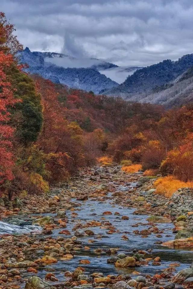 秦岭免费景点自驾游图片