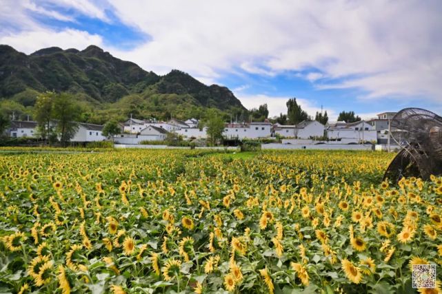 秋游田岗知行村