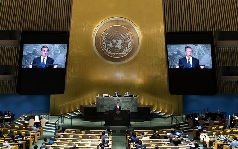 联合国里的这一幕，看了让人格外感慨