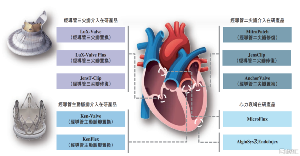 健世科技-B（9877.HK）正在招股，结构性心脏病介入治疗领域的新星