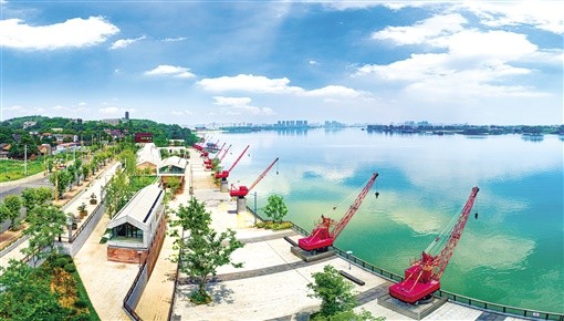 這個夏天,沅江南岸的鼎城區陽明湖公園成了市民夜遊的網紅