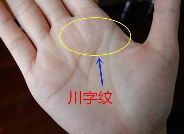 “掌中川字纹，富贵不离身”，并无科学依据！掌纹中藏着哪些秘密_腾讯新闻