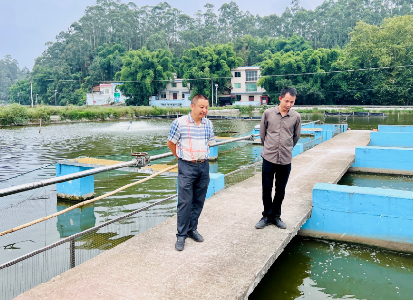 养鱼致富经_致富经养鱼视频大全集_致富养鱼视频