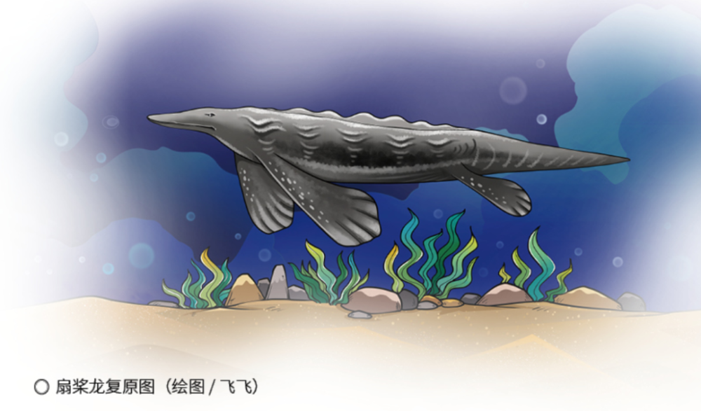鸭嘴兽怎么变成可达鸭的?_腾讯新闻