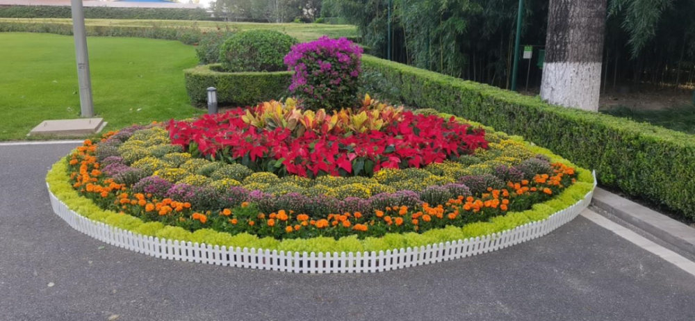 均有花坛景观摆放5个重要点位区妇联,世妇会公园在区政府,区委,区政协