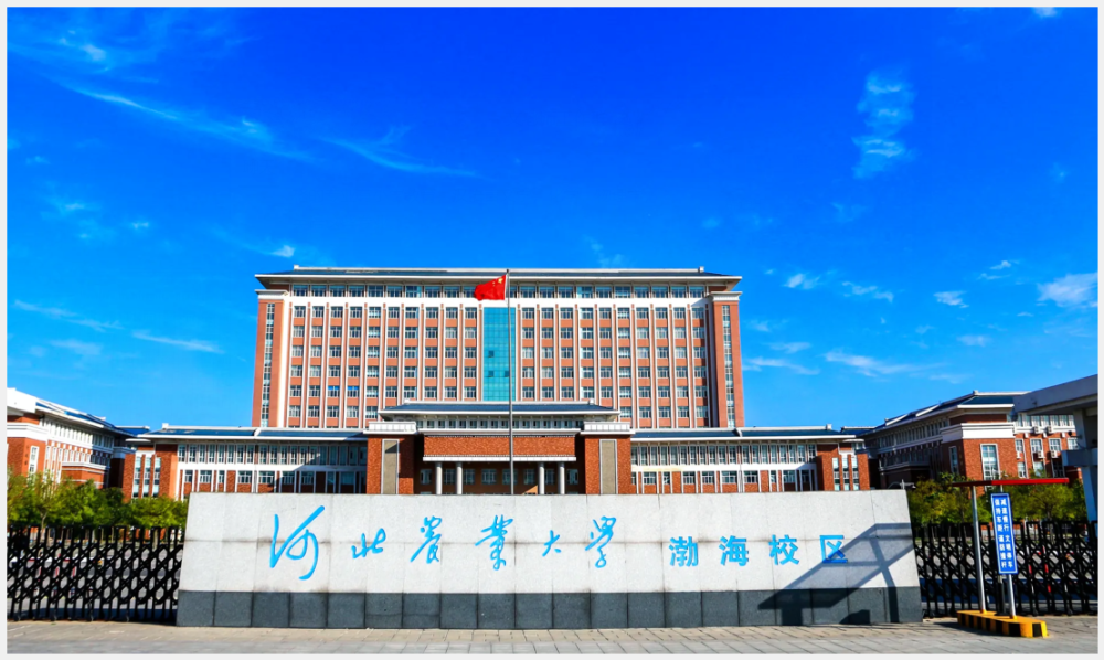 保研人数增加59,河北农业大学2023届保研名单公布,397人被保研_腾讯
