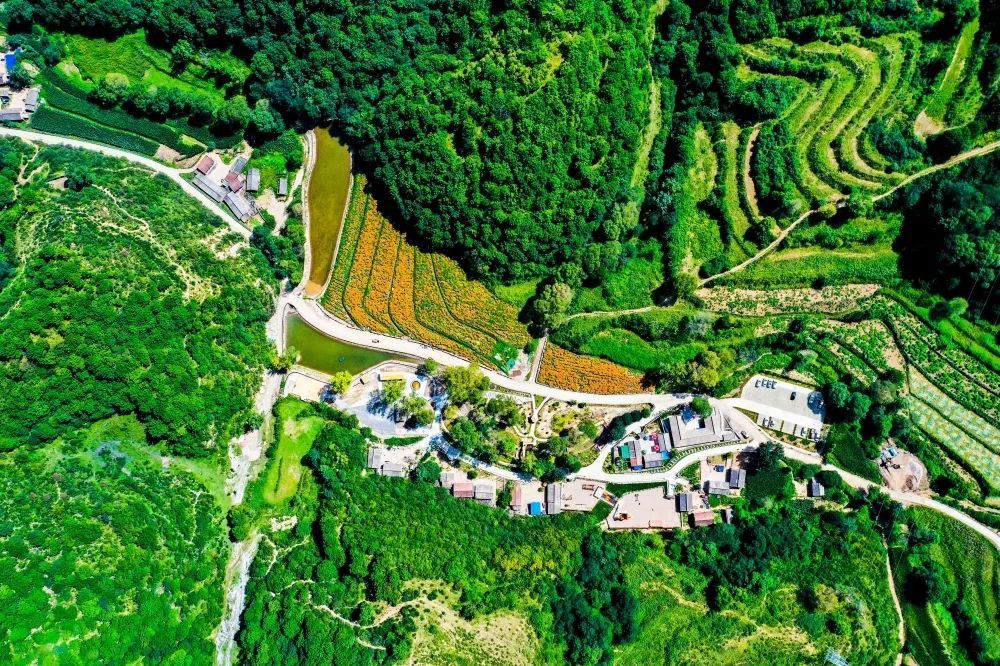 崇信县乡村建设巡礼之十五|67新窑镇后河沟做实"文旅 "文章,全力