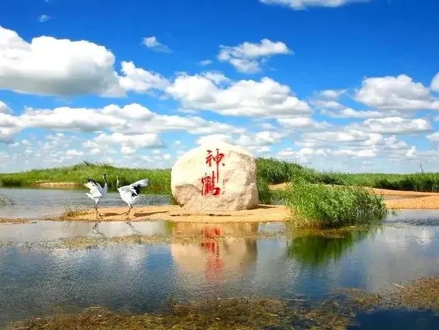 齐齐哈尔:以鹤为魂,铸就生态文明城