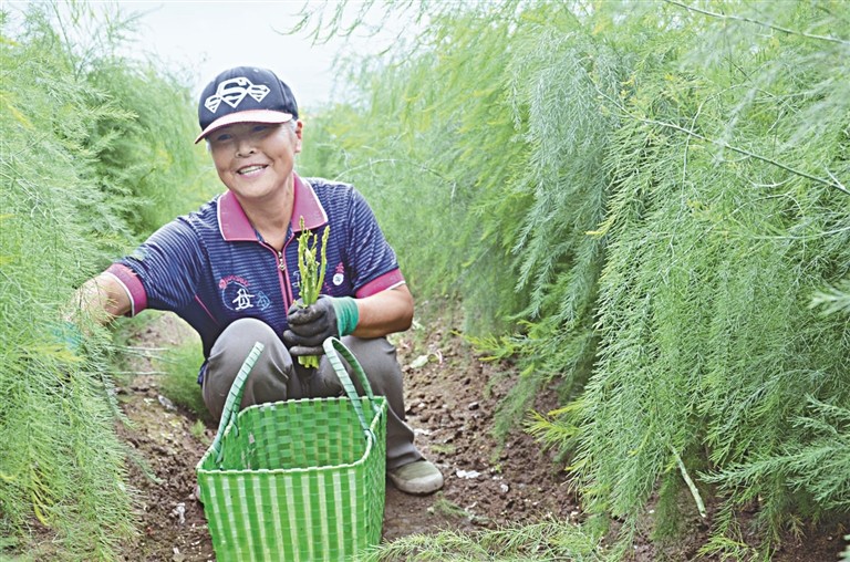 致富经养殖小龙虾_致富经龙虾养殖技术视频_致富龙虾养殖小视频大全