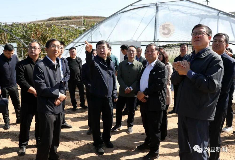 山西省人大常委会在岚县调研《山西省经济林发展条例》实施情况_腾讯