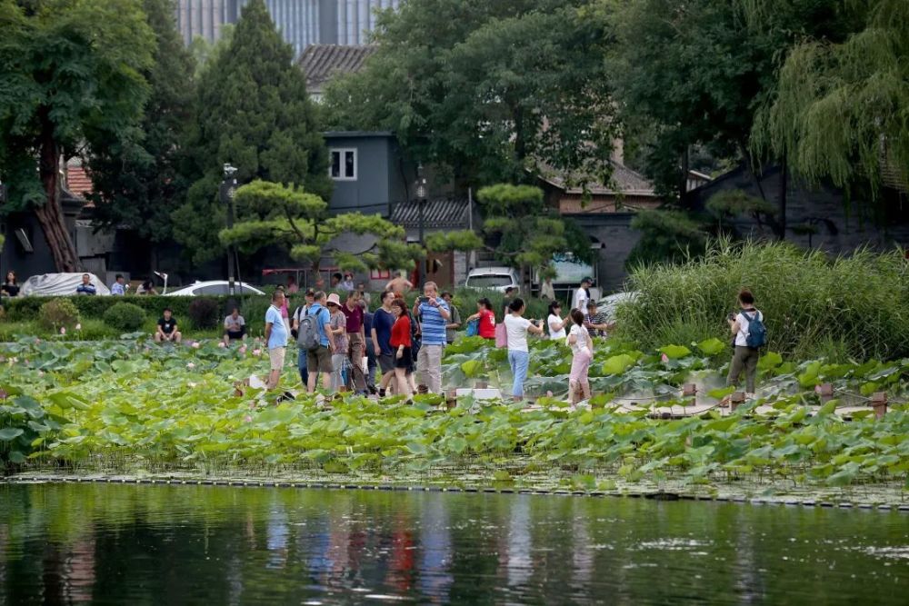 北京全市公园国庆期间将开展34项文化活动！附时间地点