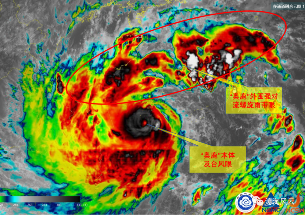 人小鬼大细说超强台风奥鹿的今生和来世