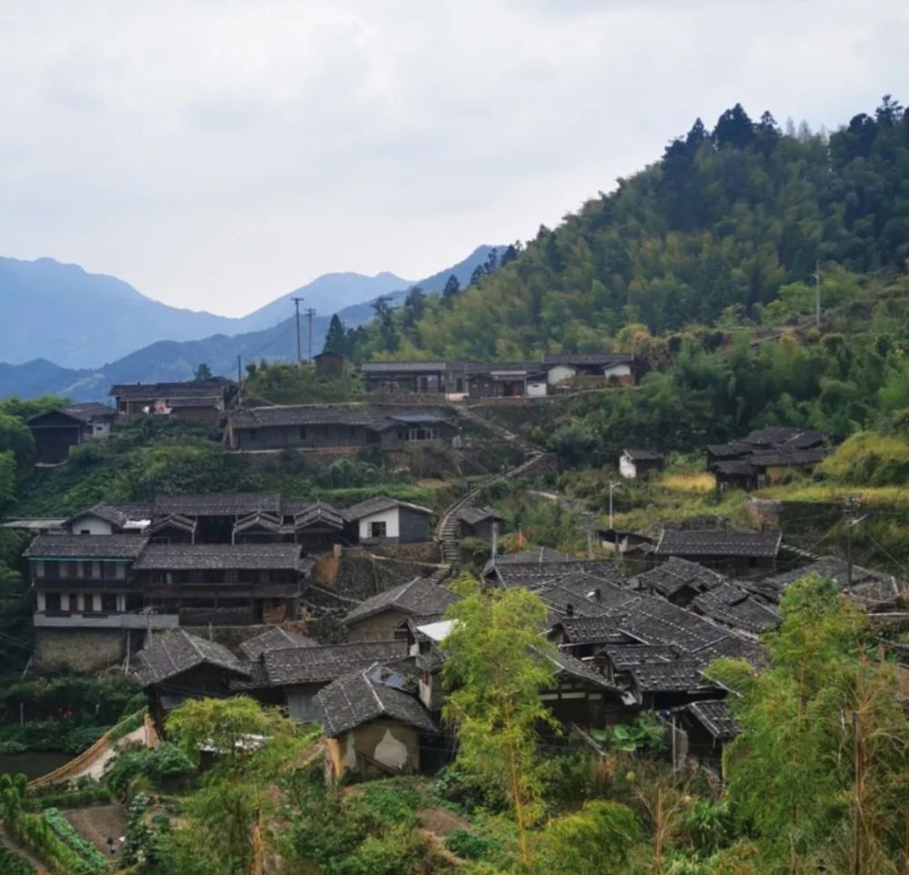 连城县领导调研传统村落集中连片保护利用工作情况