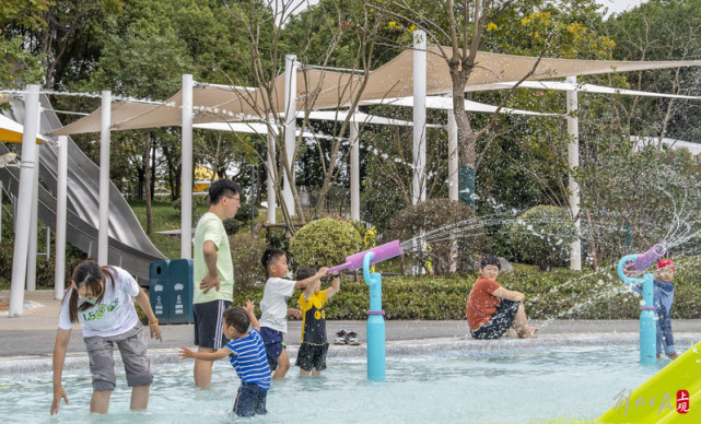 佘山滑索道(佘山国家森林公园有缆车吗)