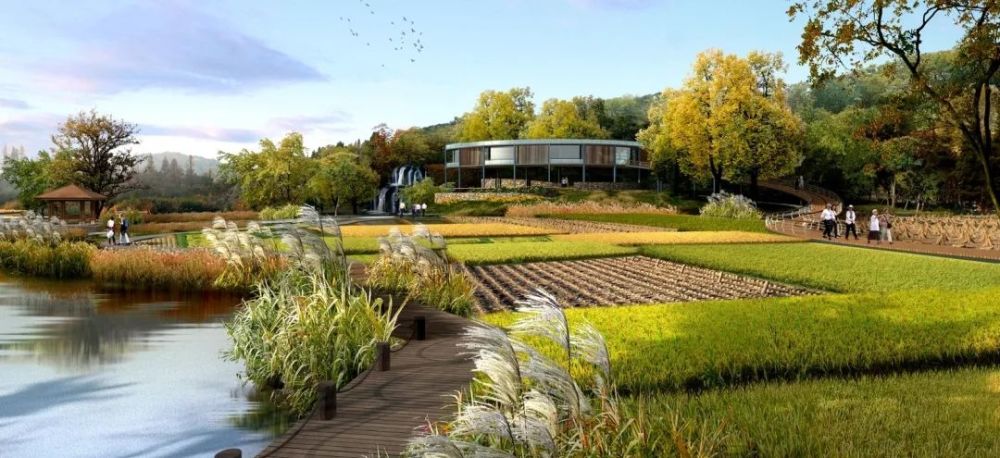 摘牌沥北这块农田将打造集种植科普体验文旅为一体的生态农业项目