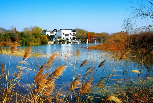 安徽人游安徽|宿州埇桥五柳风景区欢迎您_腾讯新闻