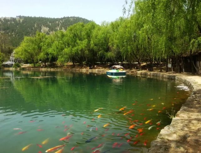 安徽人游安徽|宿州埇桥五柳风景区欢迎您_腾讯新闻