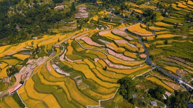 大美青田在浙南寻找不一样的人间净土