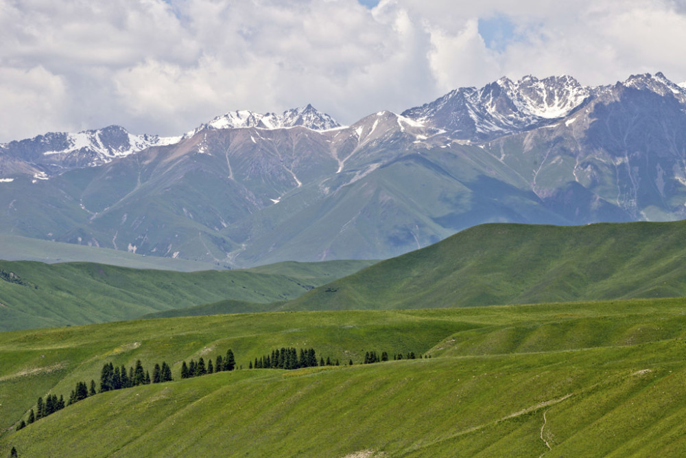 百里长卷,天然画廊,唐布拉草原_腾讯新闻