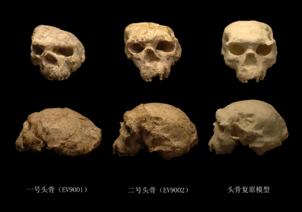 湖北十堰考古最新发现“郧县人”3号头骨，实证我国百万年人类史