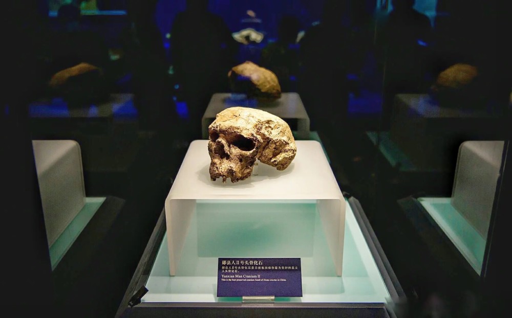湖北十堰考古最新发现“郧县人”3号头骨，实证我国百万年人类史