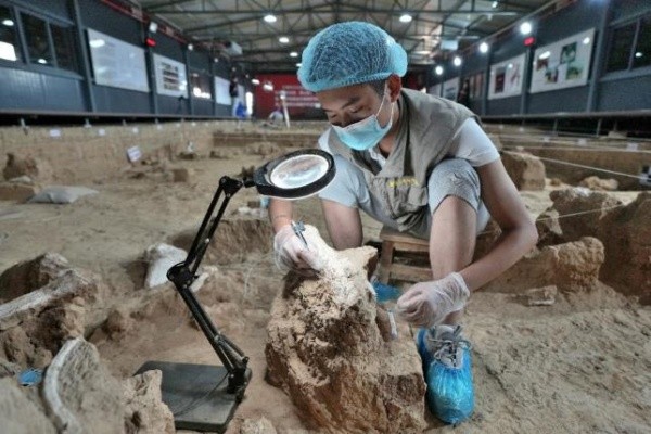 湖北十堰考古最新发现“郧县人”3号头骨，实证我国百万年人类史