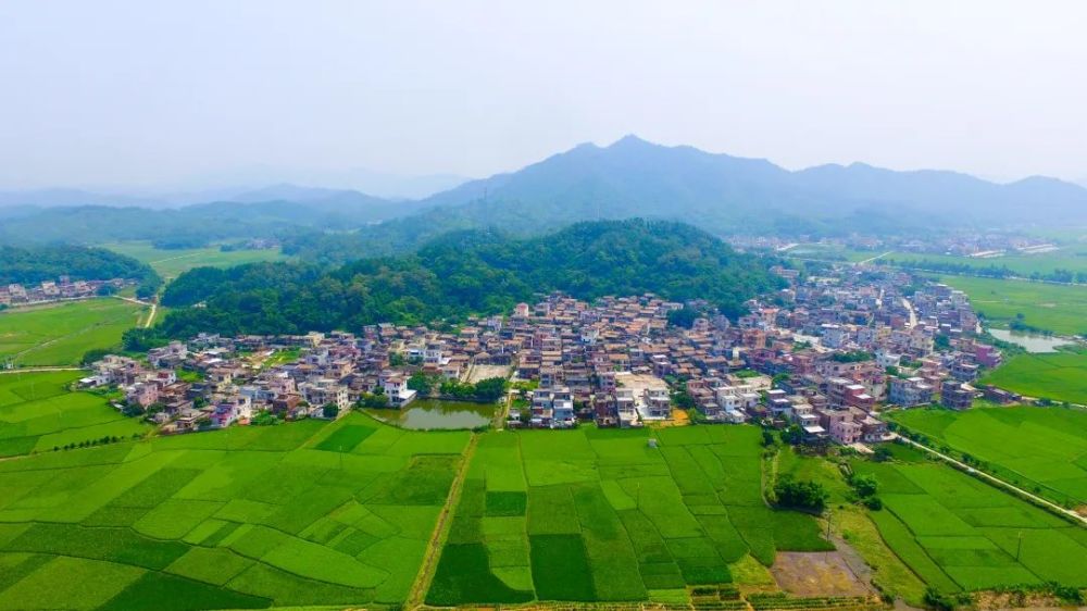 供稿/横陂镇党政办运营:恩平市融媒体中心