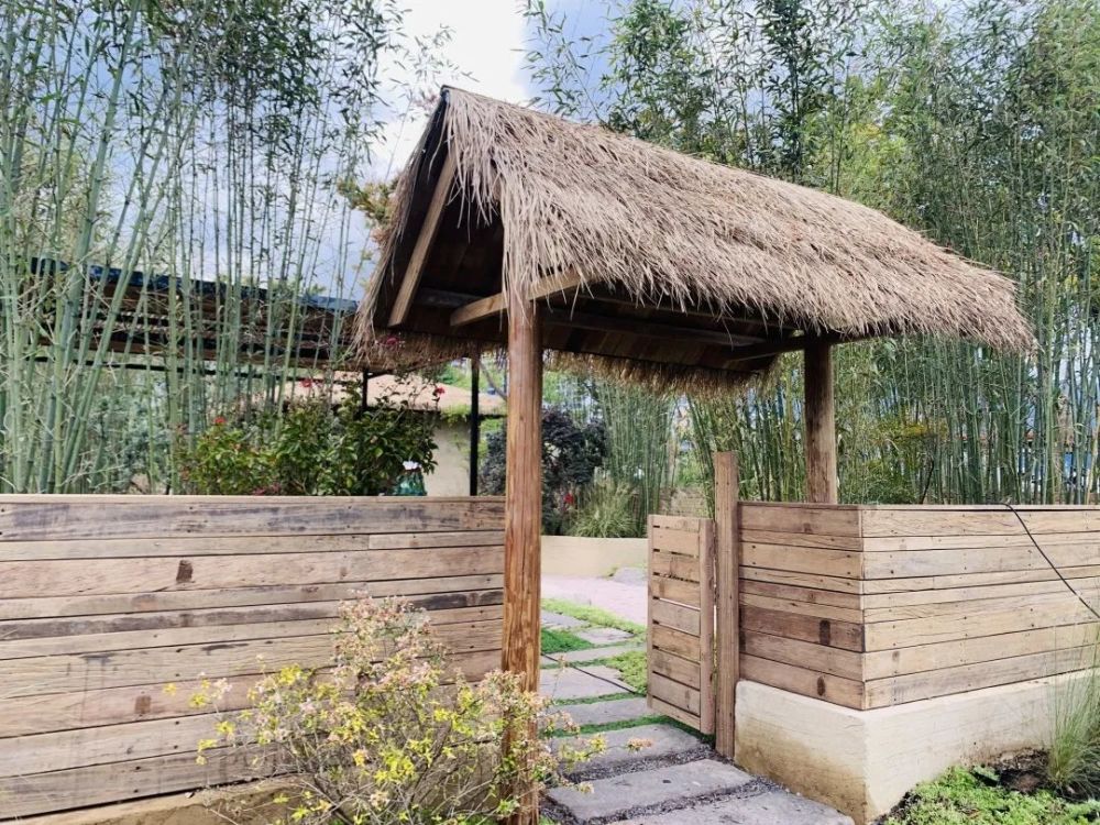 是一种惬意的享受饮茶,弹琴,聊天坐在泥木的草庐内可以看到一个隐居的