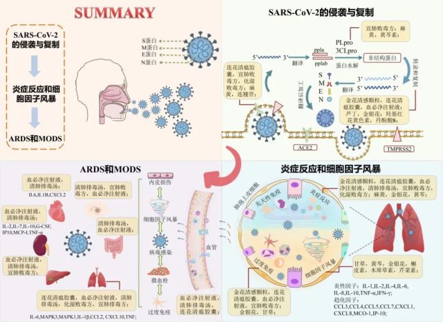 “三药三方”治疗COVID-19的作用原理_腾讯新闻