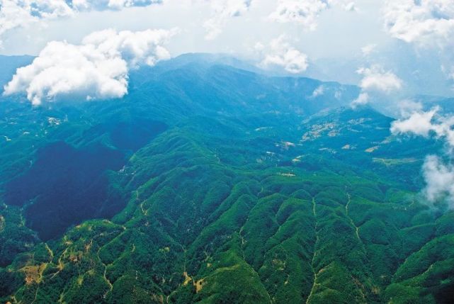 全国绿化先进集体|云南省施甸县善洲林场