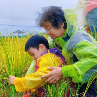 水库鱼、豆腐宴，长假贴秋膘务必先看看这份京郊美食攻略