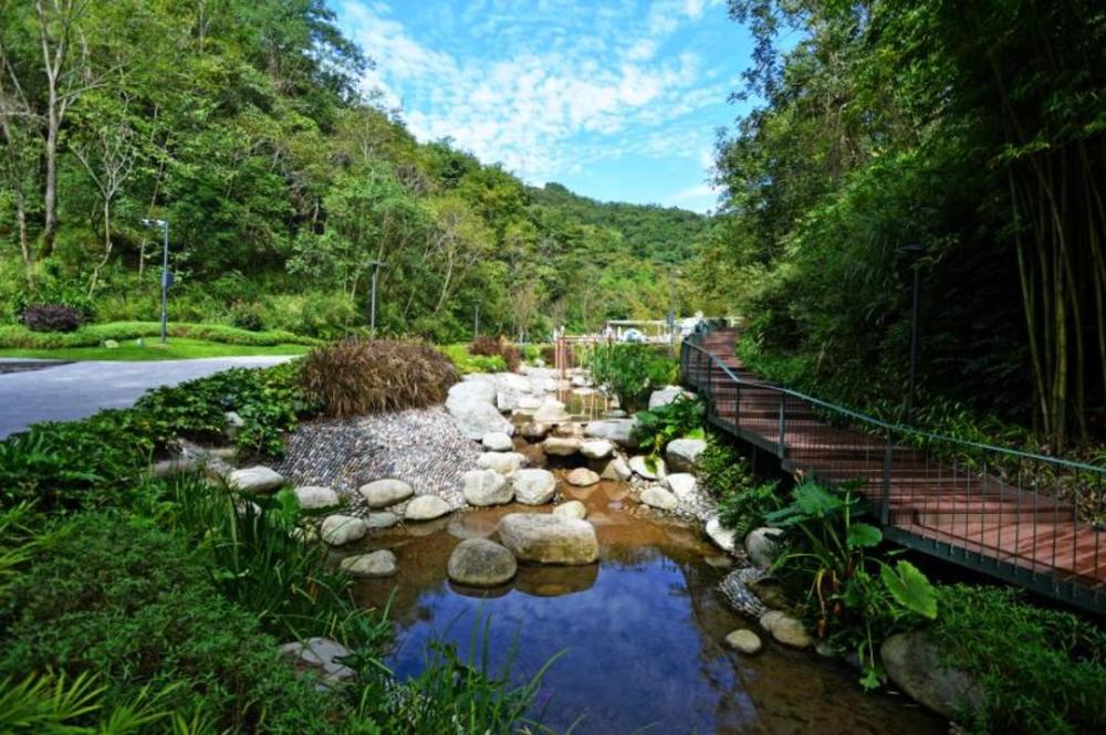 国庆出圈新玩法 成都无根山竹艺公园正式试营业_腾讯新闻