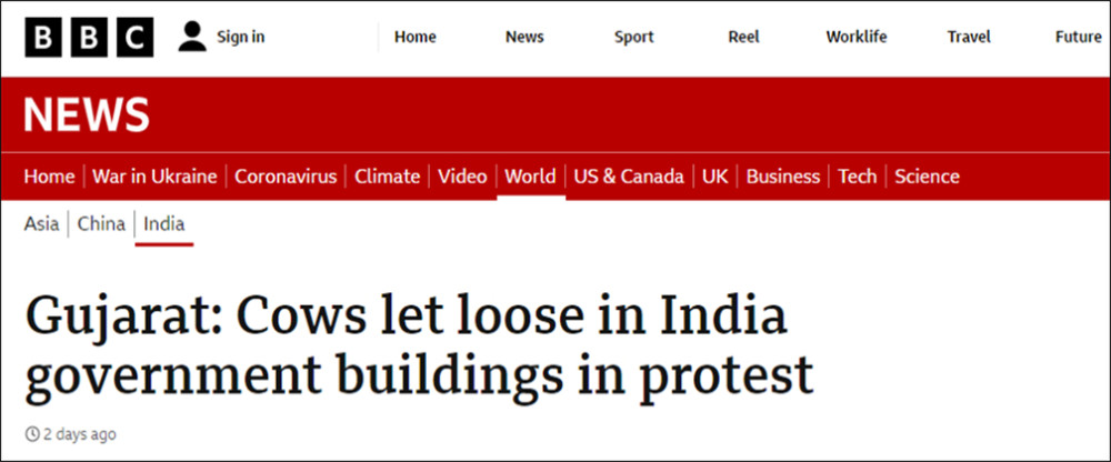 抗议当地政府未兑现援助承诺，印度人放出牛群“攻占”政府大楼