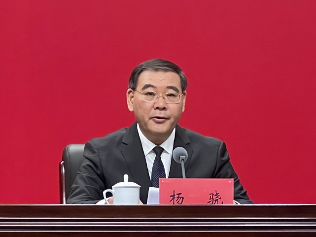 发布会上,洛阳市委副书记,政法委书记杨骁介绍了今年来洛阳在文旅文创