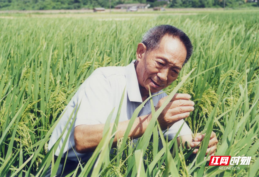 朗诵丨肖建新:三色怀化溢芬芳_腾讯新闻